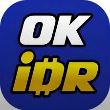 OKIDR - Simulasi Kehidupan Sehari-hari yang Seru